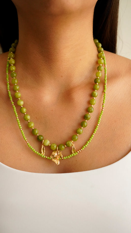 collar brotes