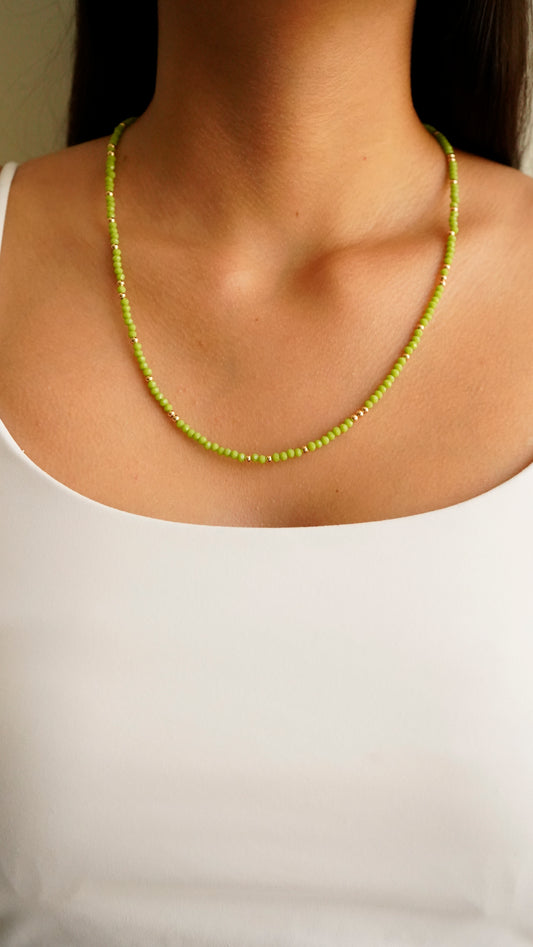 collar brotes