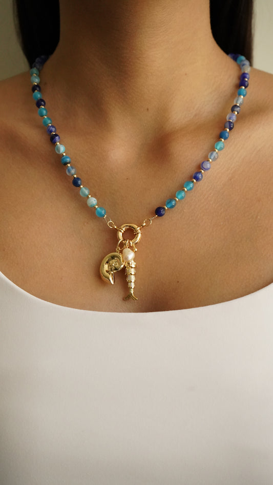 collar marea
